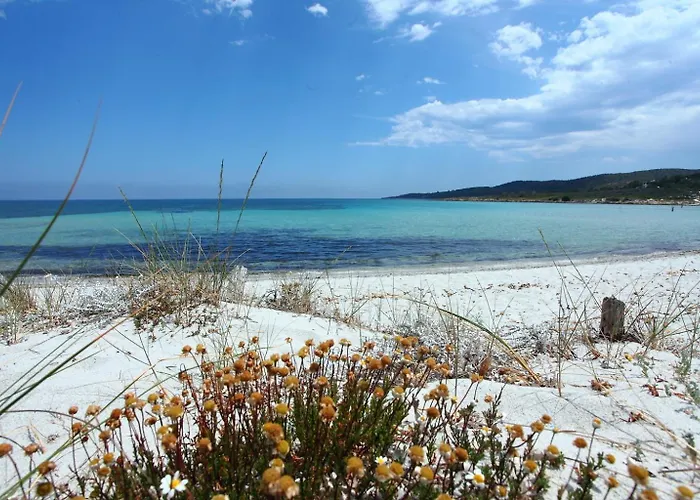 Maestrale Flat - Klodge Appartement